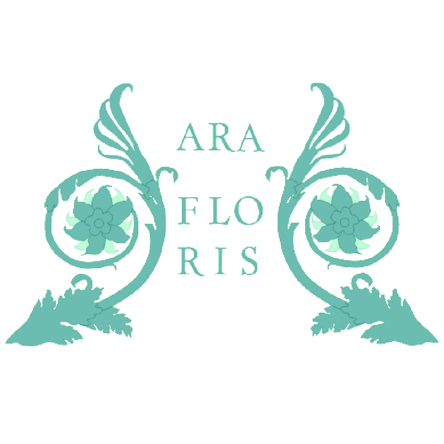 Ara Floris